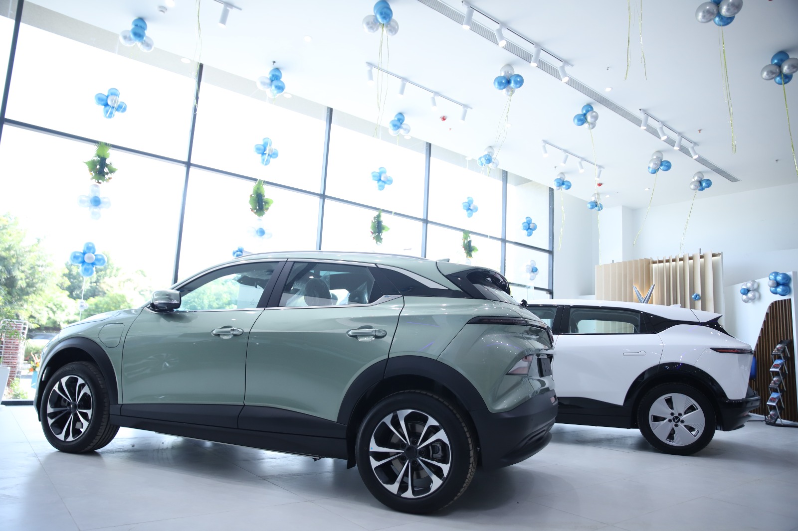 WhatsApp Image 2025-10-15 at 12.06.30